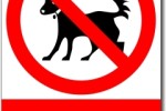 Zákaz vstupu se psy